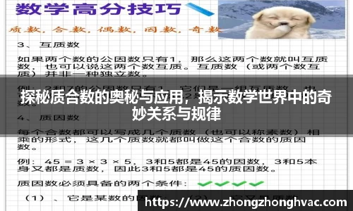 优游国际官方网址